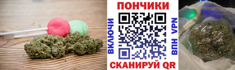 Canna-Cookies конопля  Якутск 