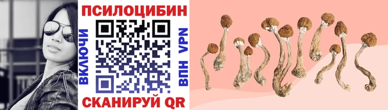 Псилоцибиновые грибы прущие грибы  закладка  ссылка на мегу онион  Якутск 